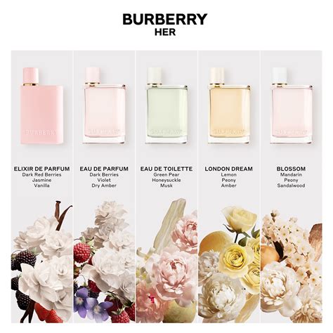 burberry goddess elixir|burberry her perfume for women.